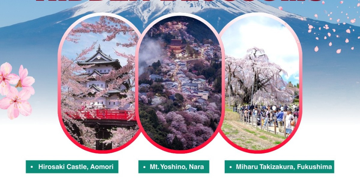 Japan Package Tours from Chennai – Cherry Blossoms, Culture & Cuisine Await!
