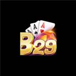 B 29