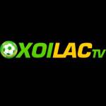 mollysmovementcom lừa đảo