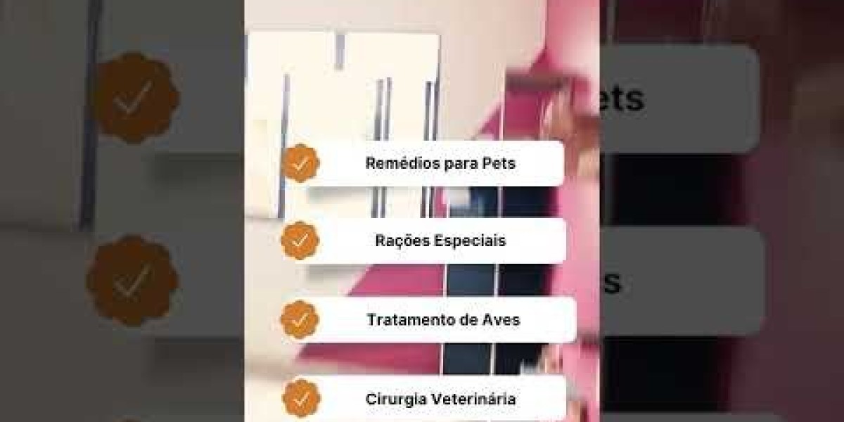Exames Cardiológicos em Pets: O Que Seu Cão ou Gato Precisa Saber?