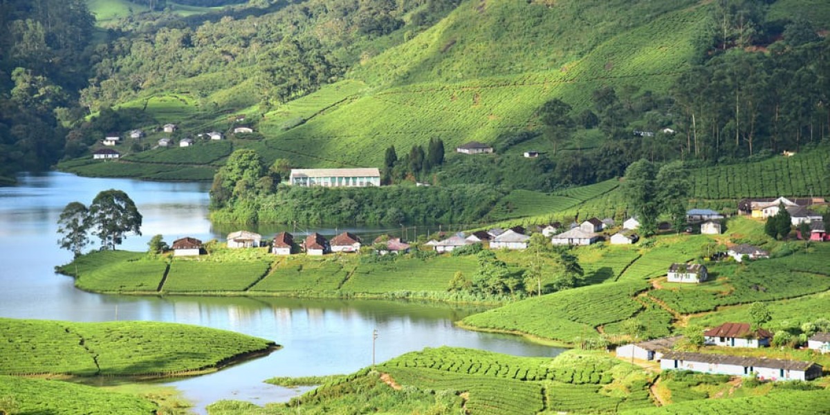 Chennai To Munnar Cab