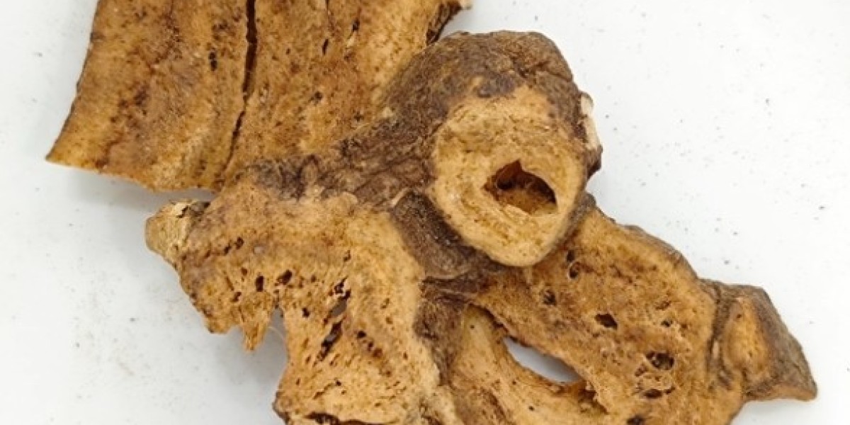 A Deep Dive into the Uses of Medicinal Plants in Traditional Chinese Medicine
