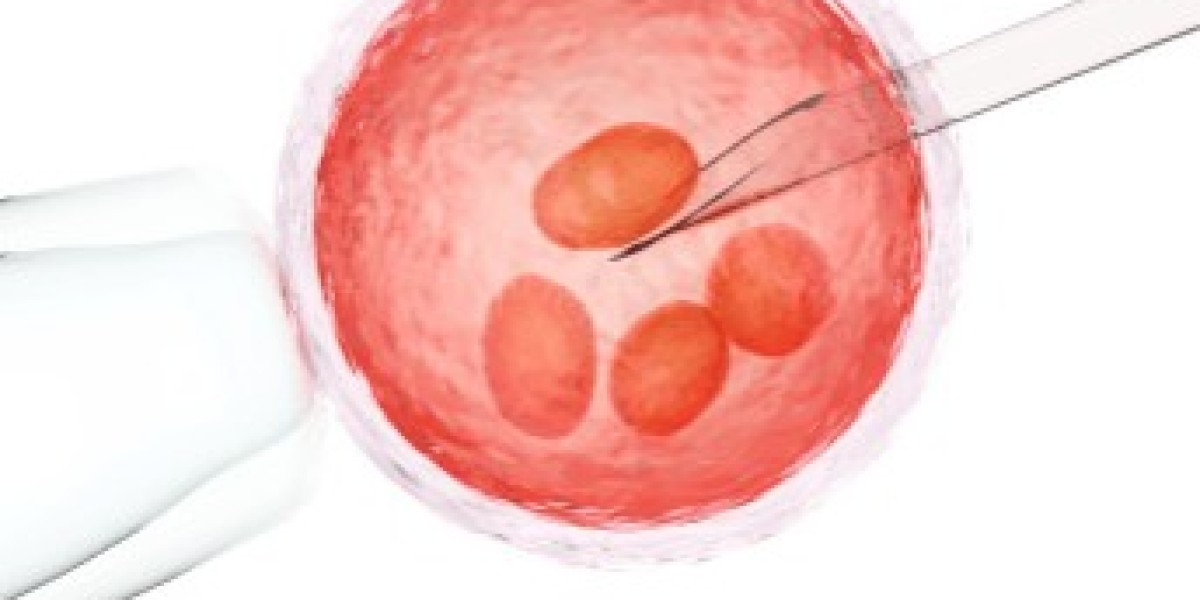 Nirvana IVF & Fertility Clinic, Best IVF Center Kolkata, Offers Personalized Fertility Solutions from Dr. Meena Nara