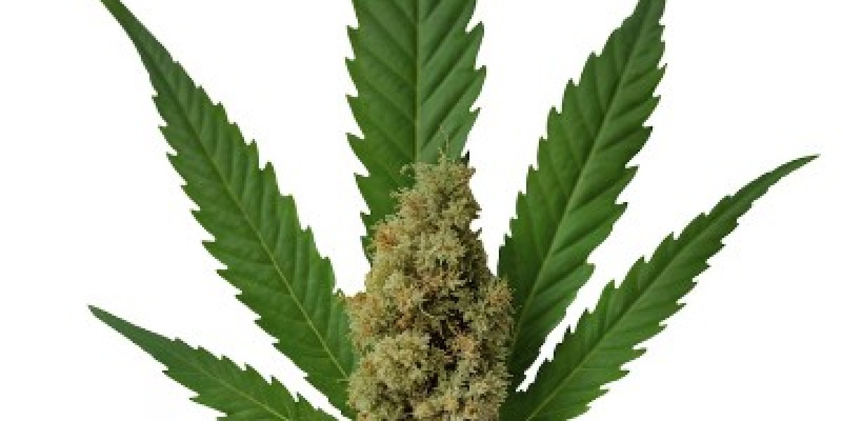Why Buying Weed Concentrates Online Is the Smart Choice for Cannabis Enthusiasts