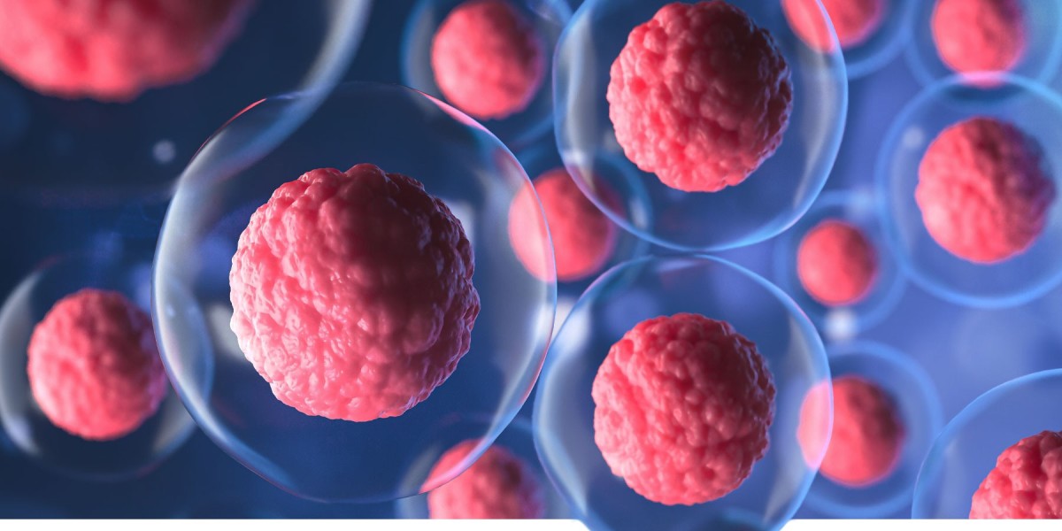 Stem Cell Therapy Singapore – What to Know Before Getting Treated