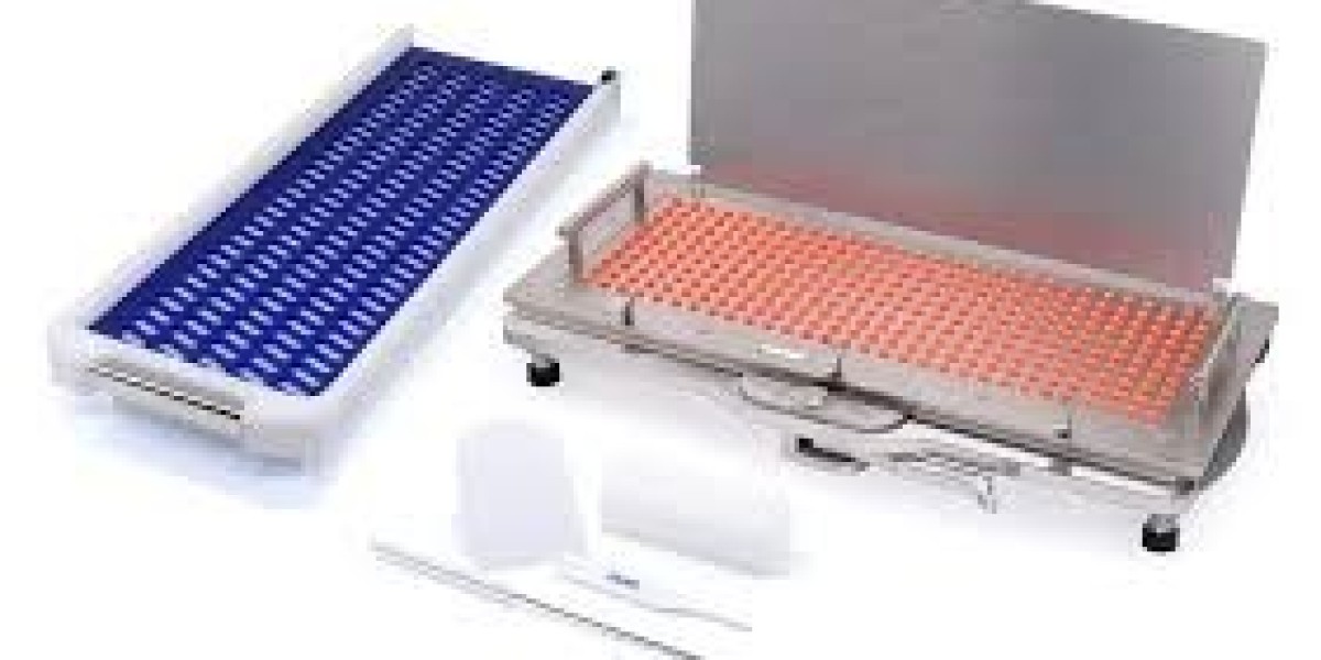 Global Capsule Fillers Market Report: Trends, Opportunities, and Forecast 2025-2031