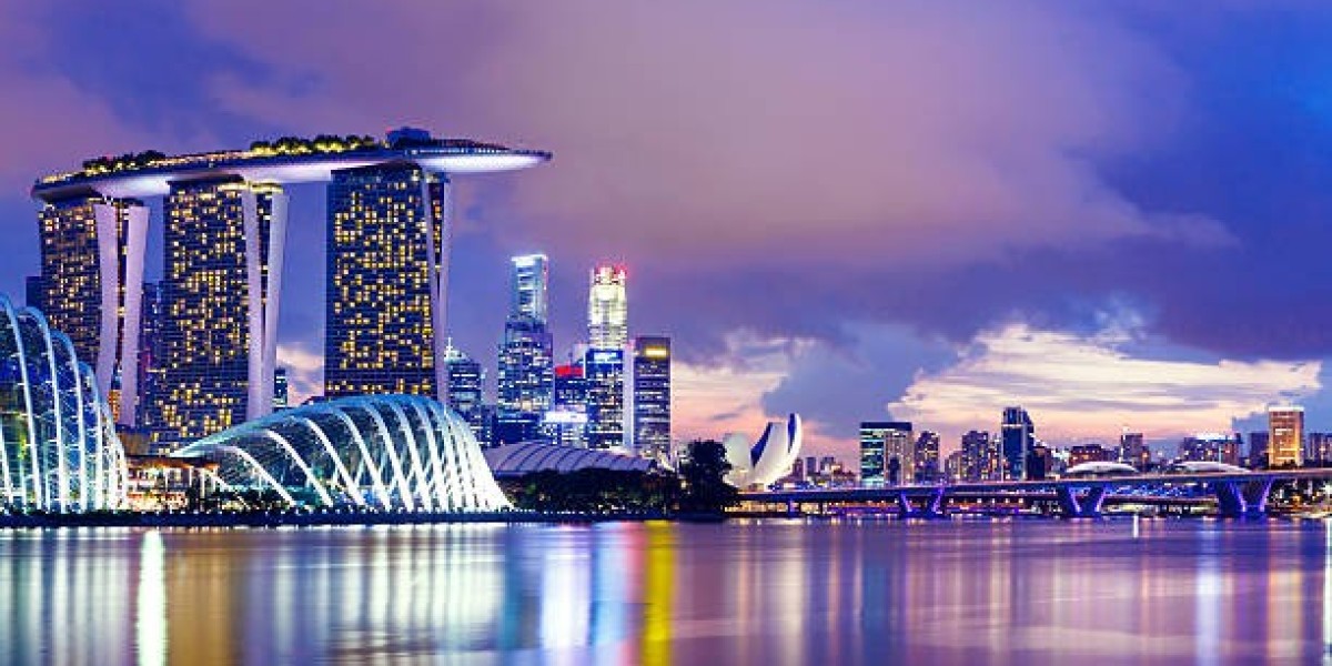 Singapore Visit Visa vs. Multiple Entry Visa: Which One Do You Need?