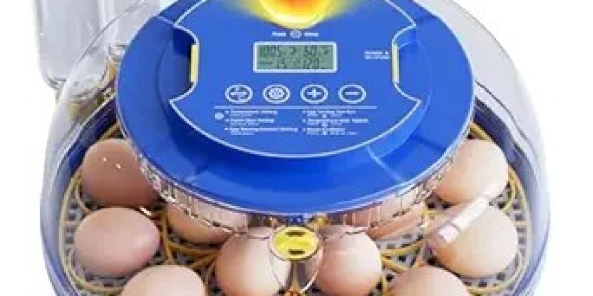 Elevate Your Backyard Poultry Game with Smart Egg Incubators