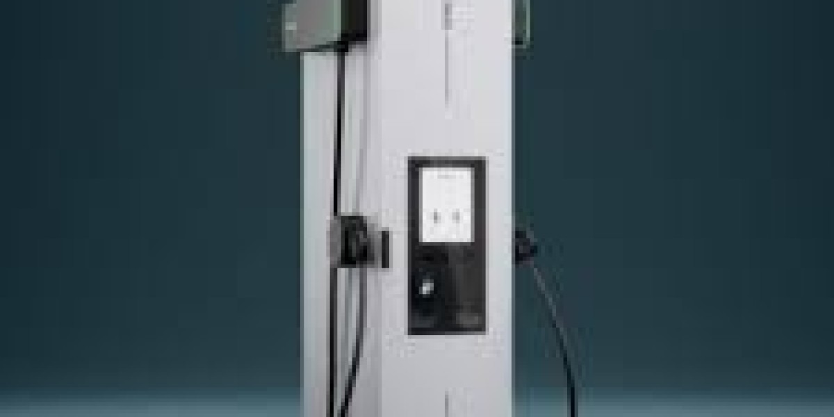 Global EV DC fast charger Market Report: Trends, Opportunities, and Forecast 2025-2031