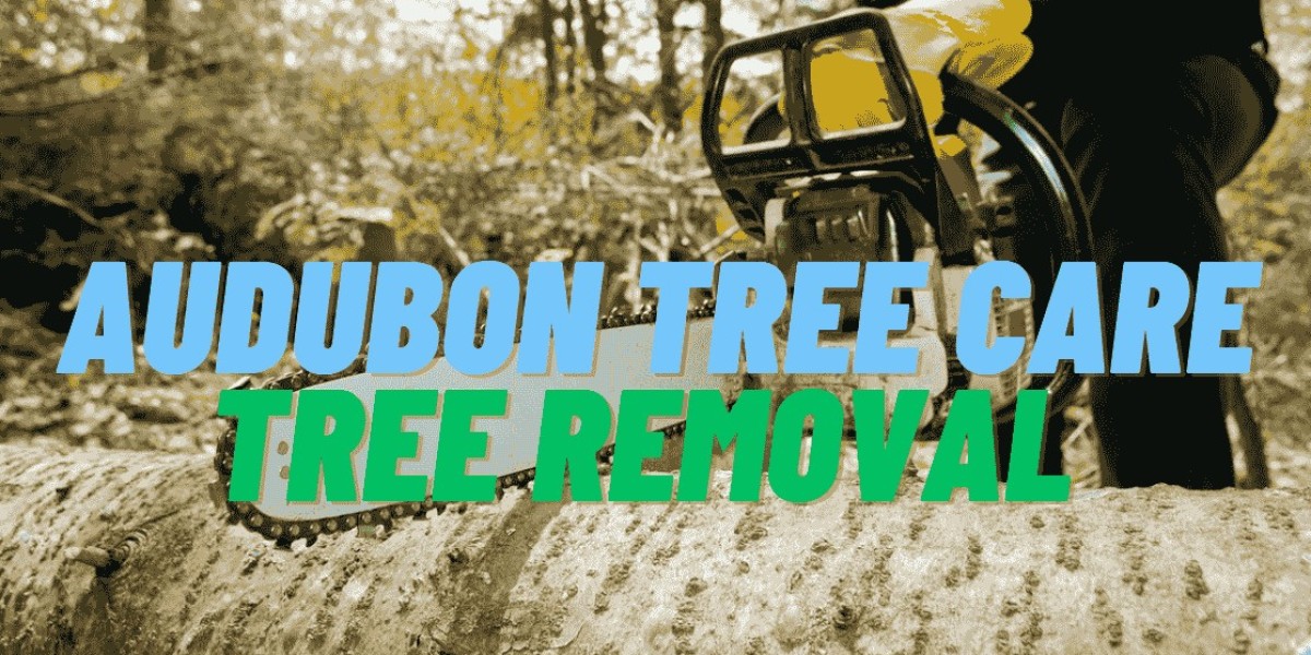 Transform Your Trees: Audubon Tree Care's Expertise Unleashed