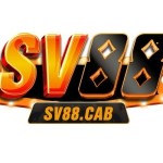 SV88
