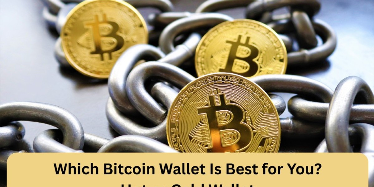 Which Bitcoin Wallet Is Best for You? Cold vs Hot Wallets Compared