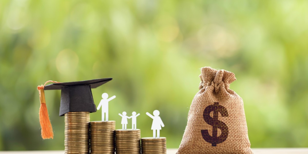 Third-Party Funding: A New Frontier in Alternative Investments