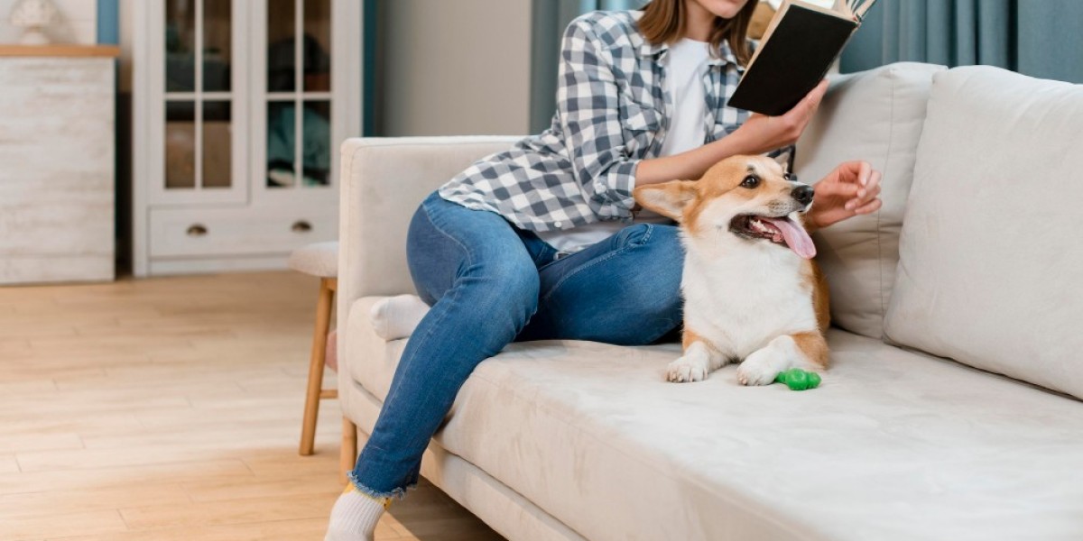 The Best Sectionals for Pet Owners: Fabric & Layout Guide
