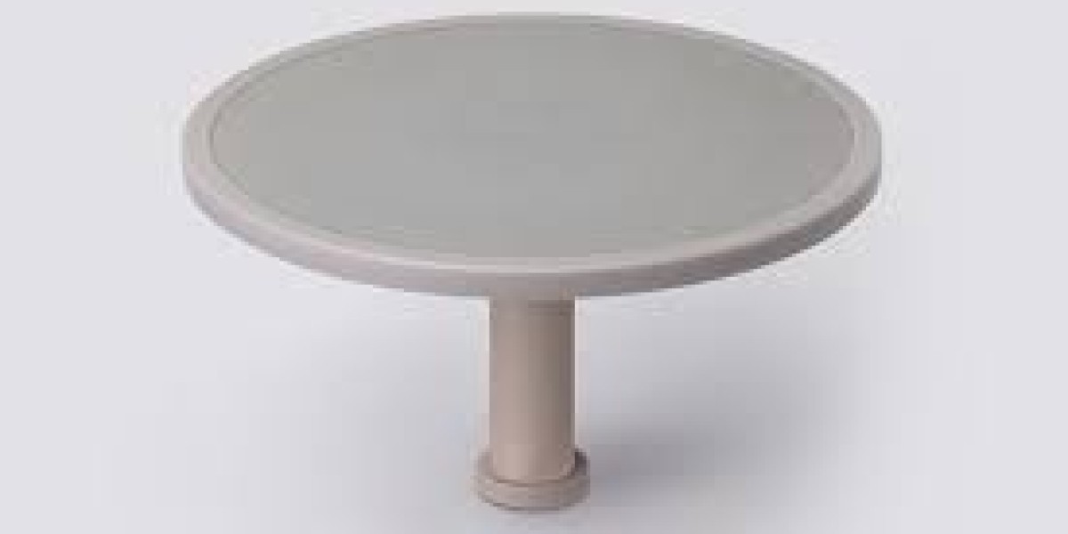 Global Aluminum Nitride Ceramic Heaters Market Report: Trends, Opportunities, and Forecast 2025-2031
