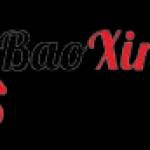 BAO XIN VIỆC