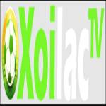 xoilactvnvncc  die web