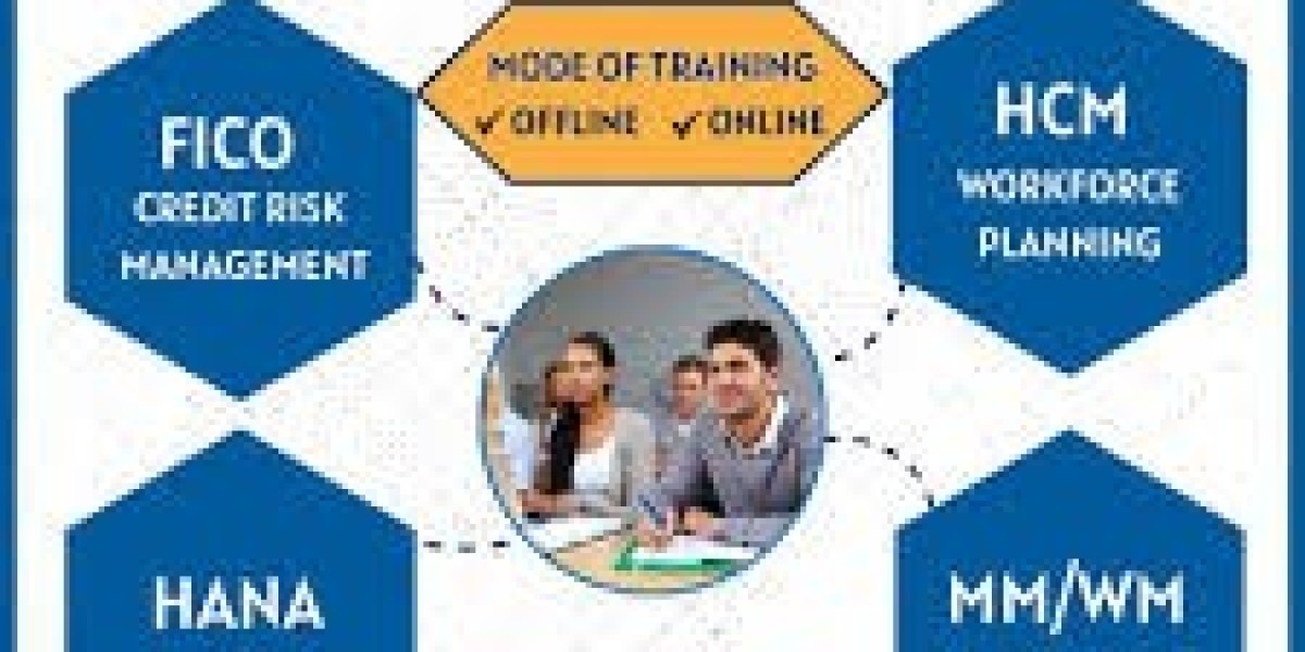 SAP institute in Ameerpet