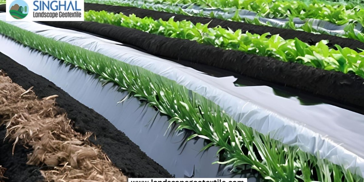 Mulch Film: A Modern Solution for Smarter Farming