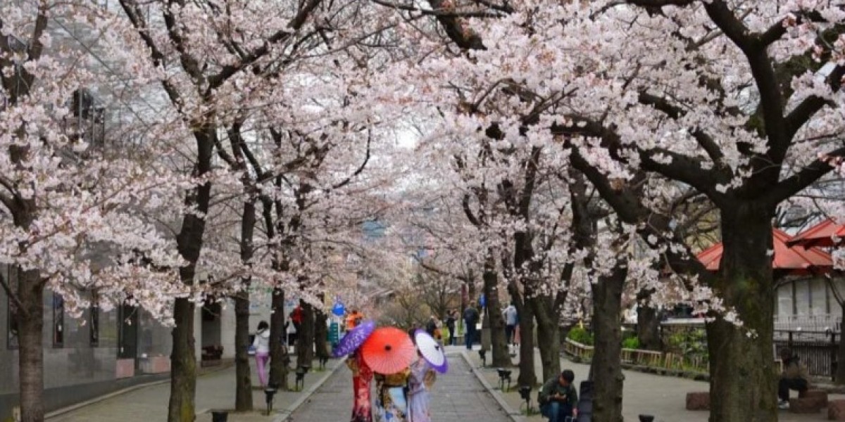 Best Japan Tours for Families with Kids: Safe, Fun & Educational