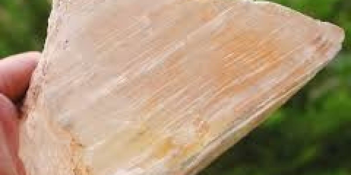 Global Stone Gypsum Market Report: Trends, Opportunities, and Forecast 2025–2031