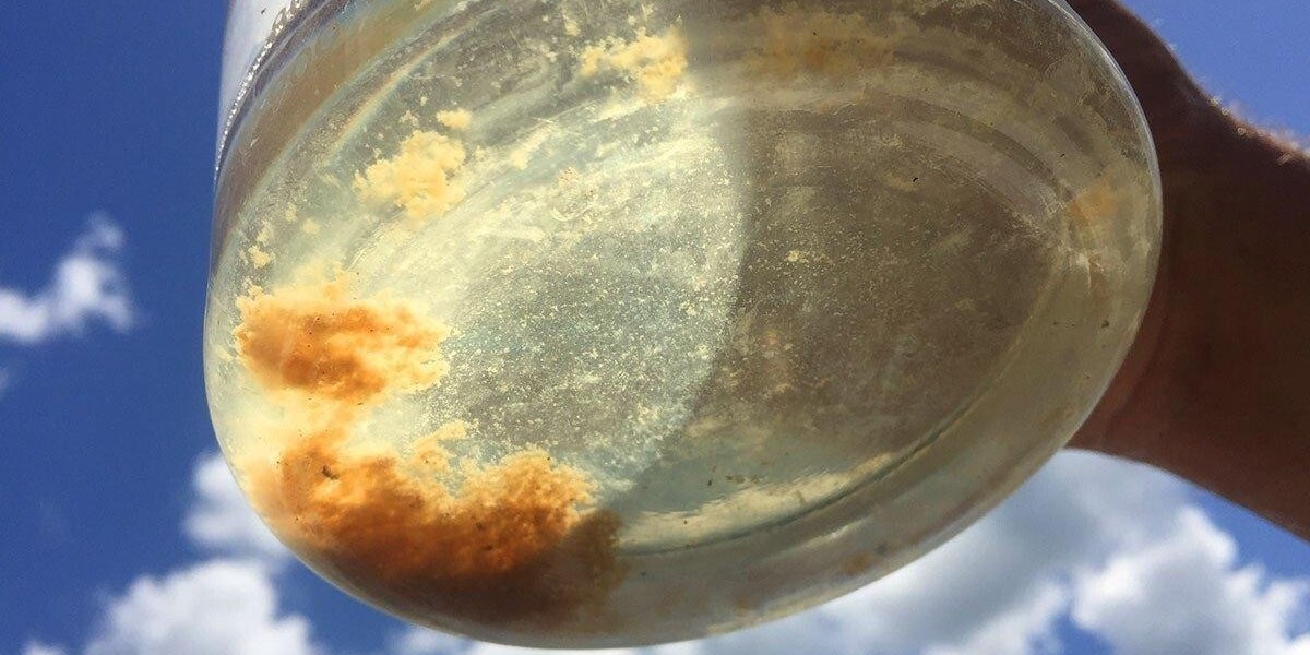 Efficient Polymers for Industrial Water Treatment