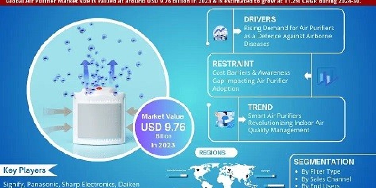 Air Purifier Industry Value, Forecast, and Competitor Insights - 2030