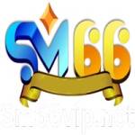 SM66