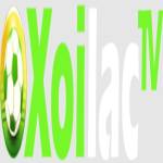 xoilactvnvzcc  thao túng kết quả tìm kiếm