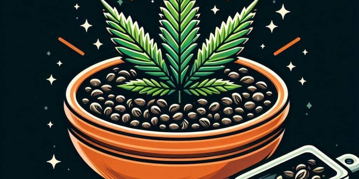 The Medical Benefits of Jack Herer Cannabis Seeds