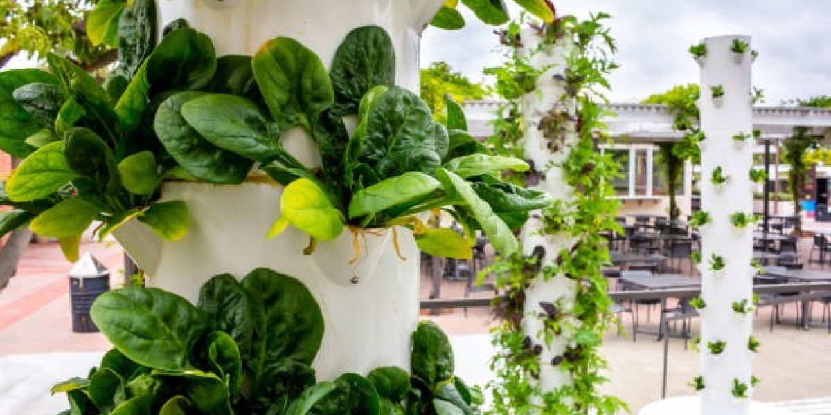 The Science Behind Aeroponic Tower Gardens: How These Vertical Systems Are Changing the Way We Grow Food