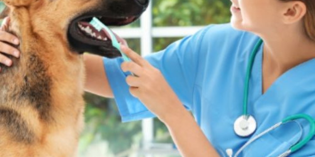 Pet-Safe Cleaning in Manhattan, NY: Keep Your Home Clean and Your Pets Safe