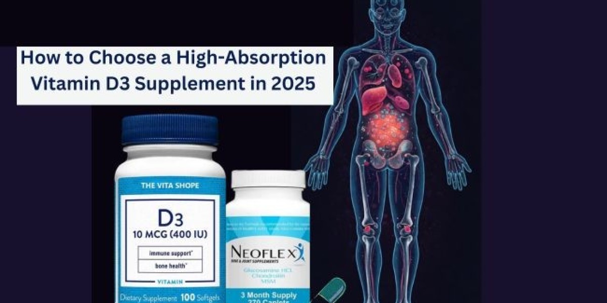 How to Choose a High-Absorption Vitamin D3 Supplement in 2025