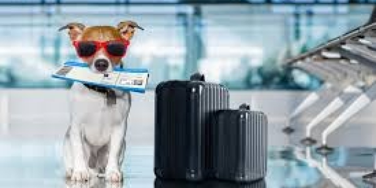 Global Pet Travel Services Market Report: Trends, Opportunities, and Forecast 2025–2031