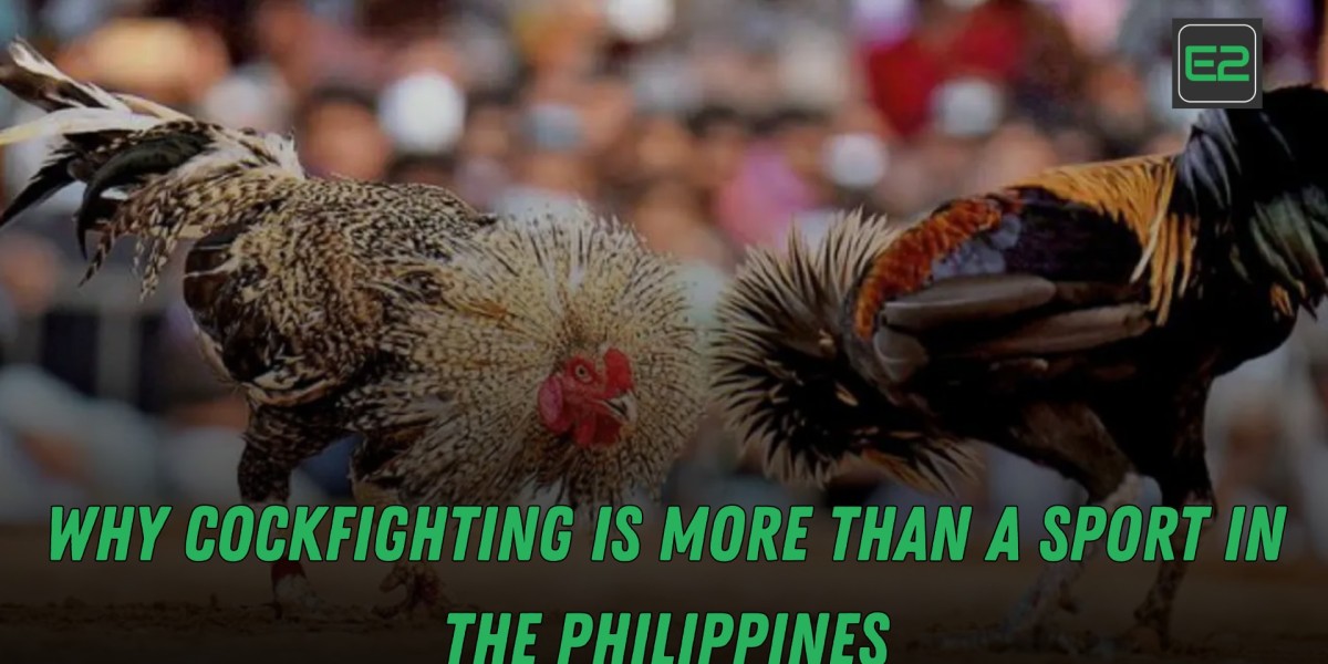 Why Cockfighting Is More Than a Sport in the Philippines