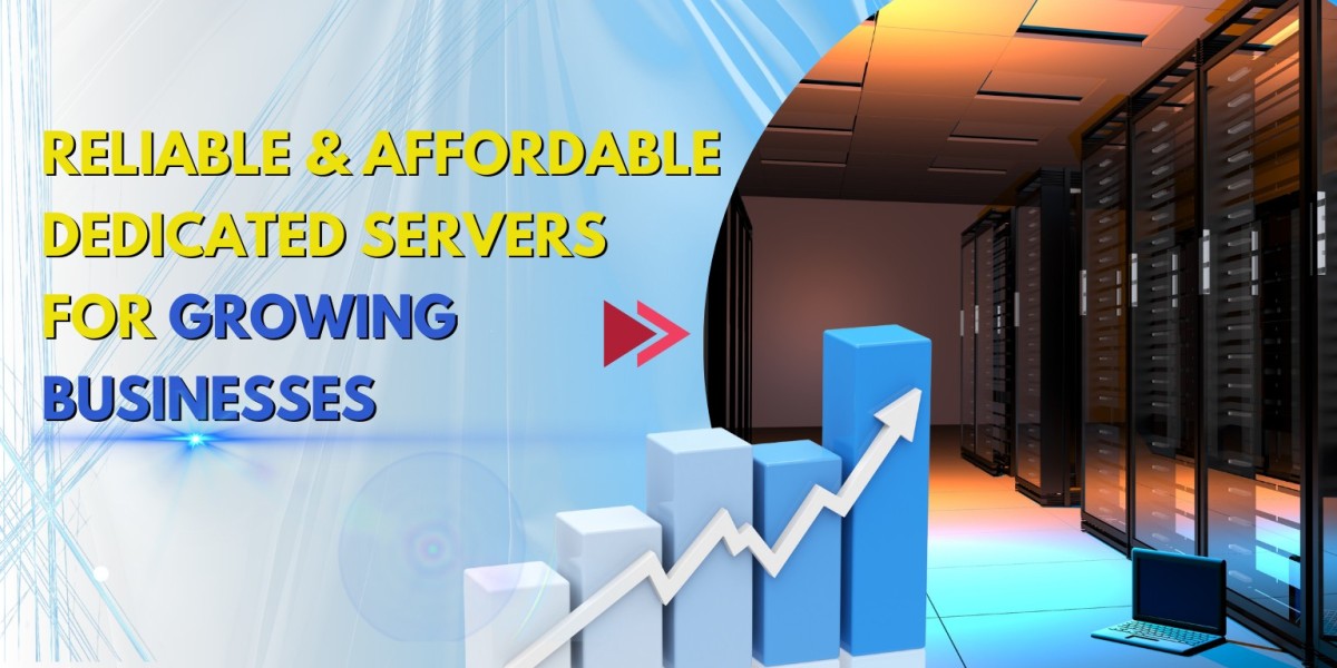 Reliable and Affordable Dedicated Servers for Growing Businesses