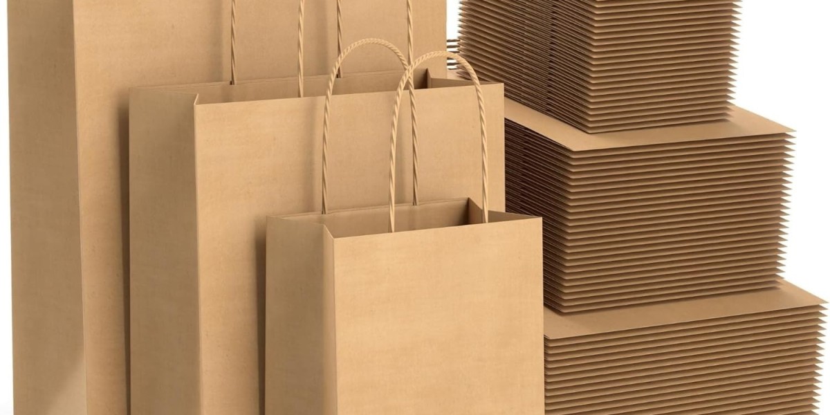 Paper Shopping Bags Manufacturing Plant Report 2025: Setup Cost, Machinery Requirements and Raw Materials