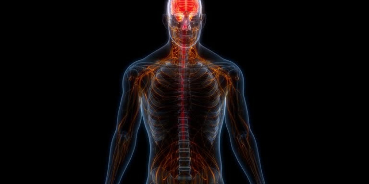 Diet and Nutrition for People With Spinal Cord Injuries