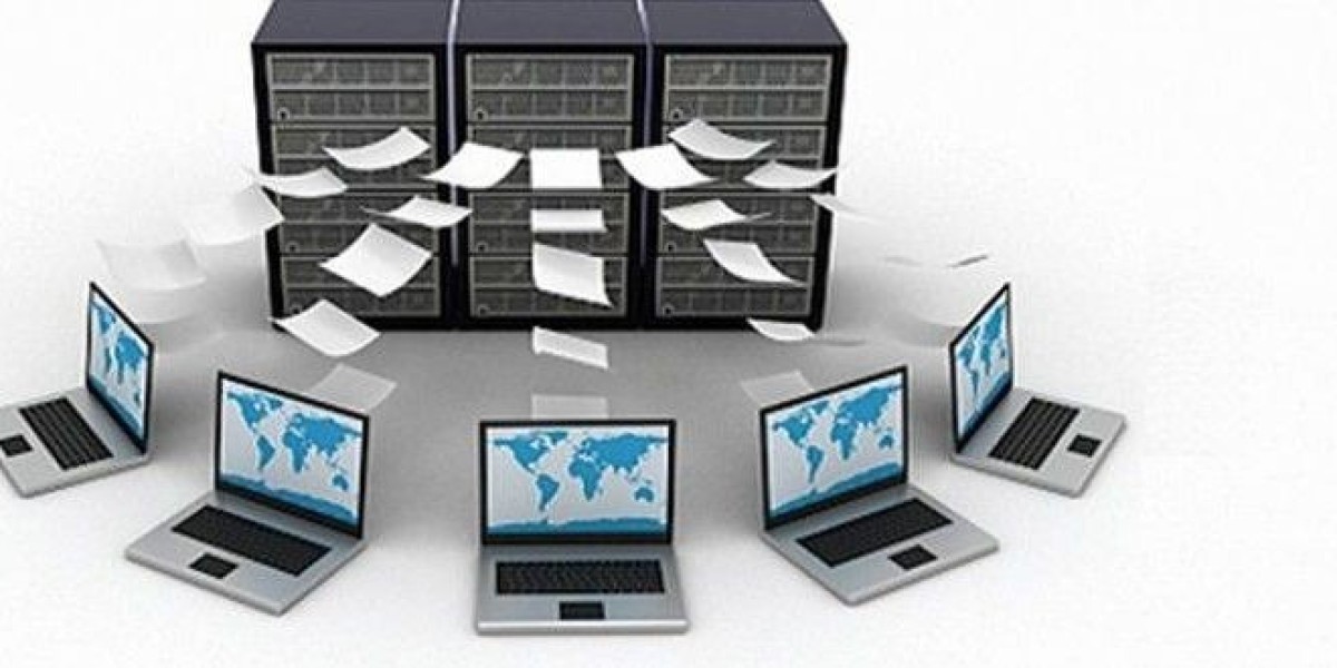 Why Offshore Hosting in Pakistan is the Best Move for Digital Entrepreneurs