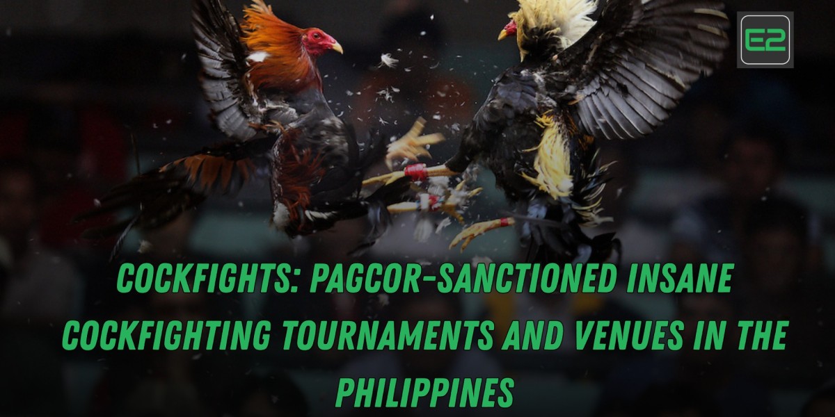 COCKFIGHTS: PAGCOR-Sanctioned Insane Cockfighting Tournaments and Venues in the Philippines