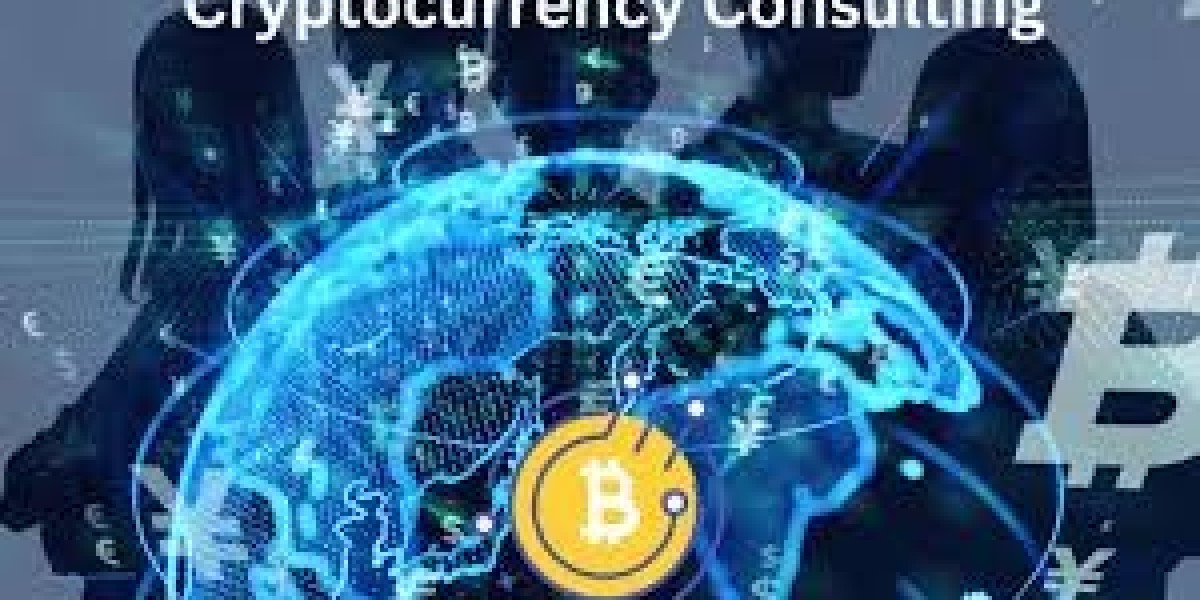 Next Layer Capital: Trusted Corporate Crypto Consultant and Expert Crypto Investment Consulting