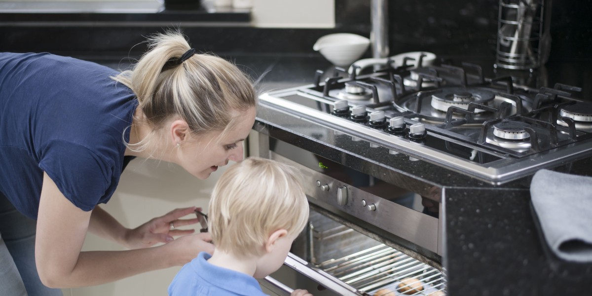 A Good Rant About Luxury Integrated Oven
