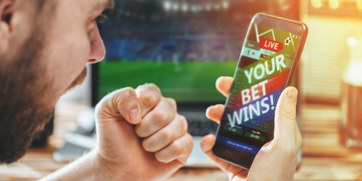Top Baseball Betting Software with Sharp Lines and Live Odds