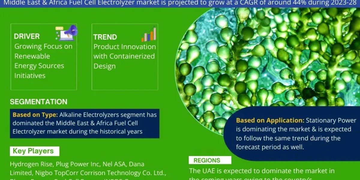 Middle East & Africa Fuel Cell Electrolyzer Market to Register 44% CAGR Through 2028 | Key Drivers and Opportunities