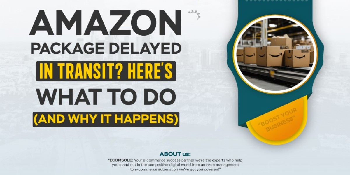 Amazon Package Delayed in Transit”? Here’s What to Do (and Why It Happens).