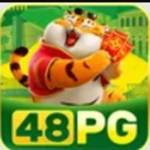 48PG
