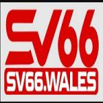 SV66