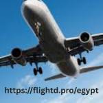 flightd offcial
