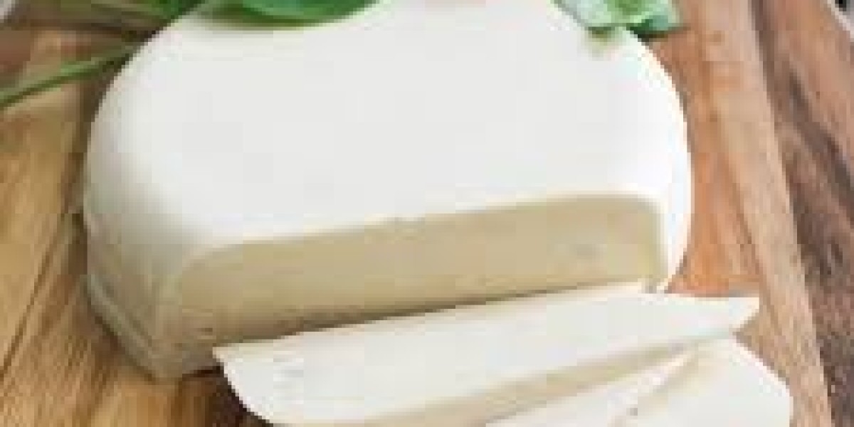 Global Vegan Cheese Market Report: Trends, Opportunities, and Forecast 2025–2031