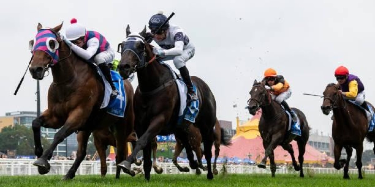 Exploring Aussie Betting Sites: A Complete Guide for Smart Punters